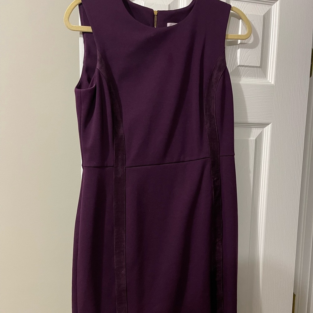 Plum Calvin Klein Dress